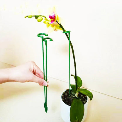 Single Stem Flower Plant Support
