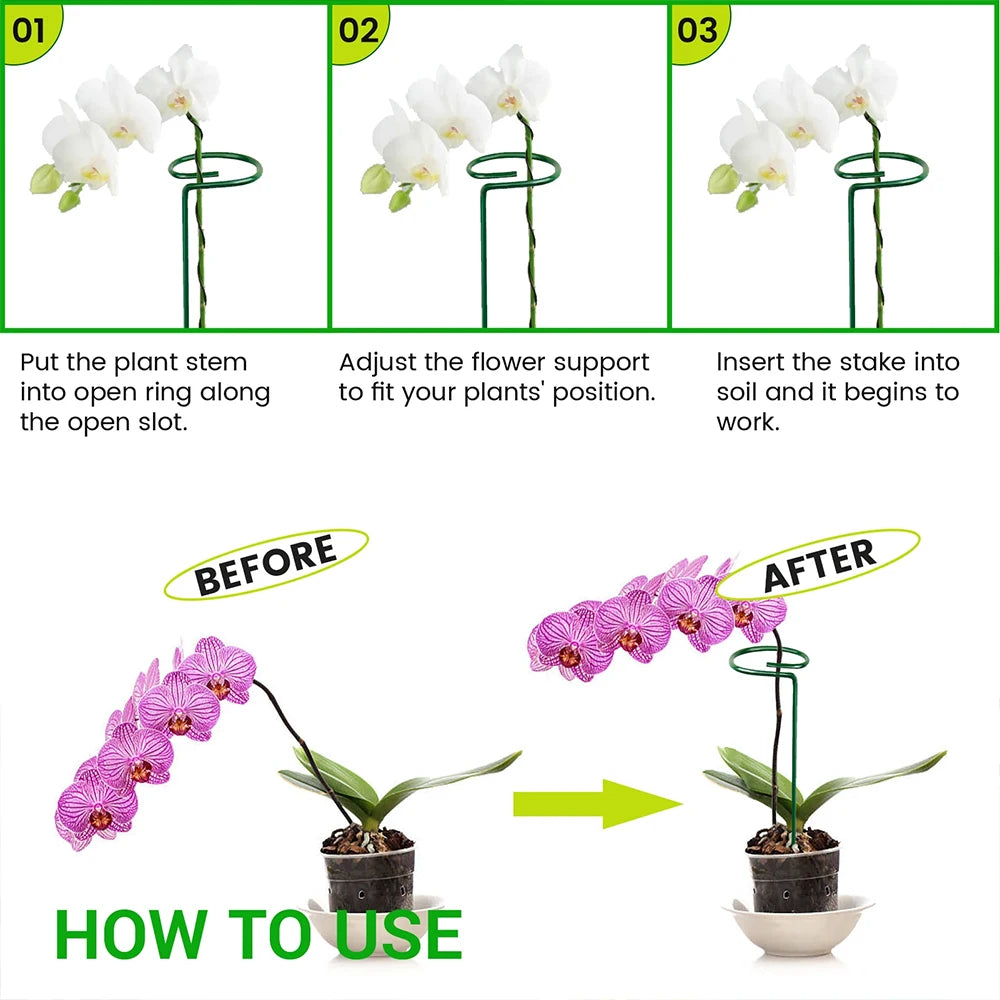 Single Stem Flower Plant Support